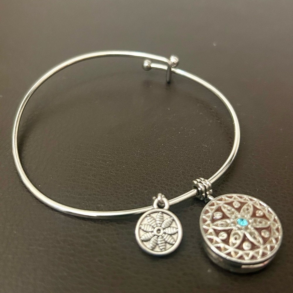 Ginger Snaps Silver Charm Bangle Bracelet - image 1